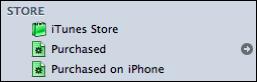 iTunes Music Store Shows Purchased Songs From Mobile Playlist